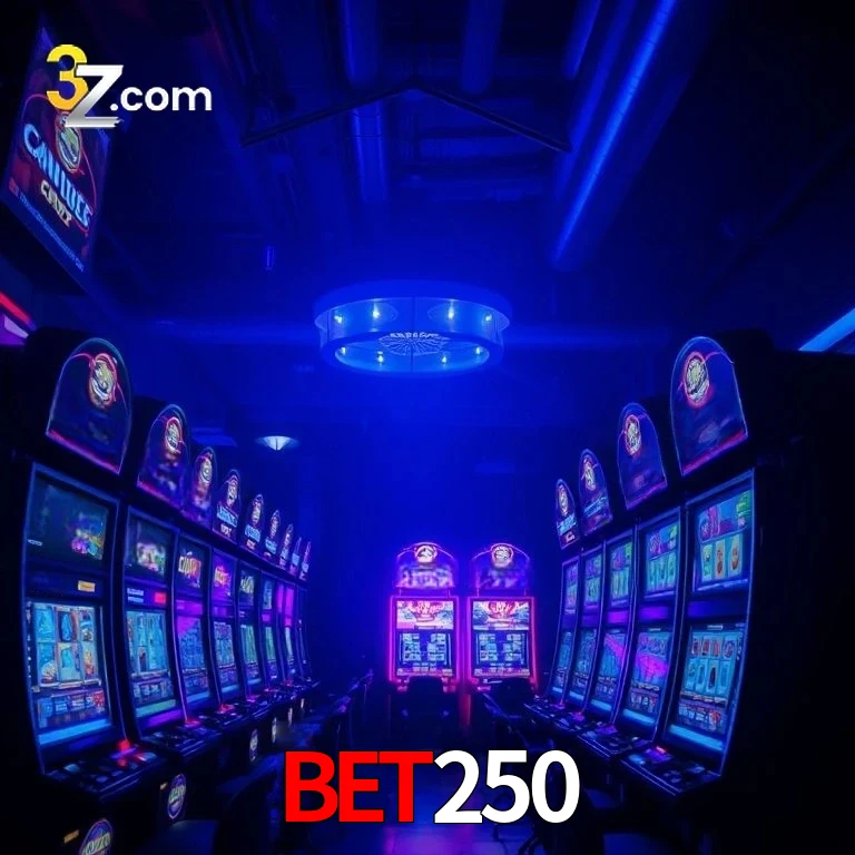 bet250 App Security